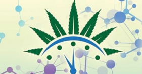 Medical Cannabis graphic
