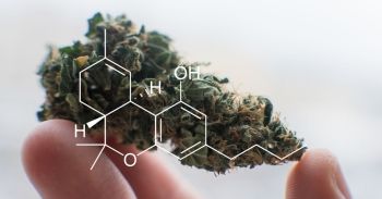 THC periodic elements