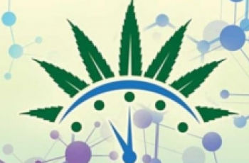 Medical Cannabis graphic