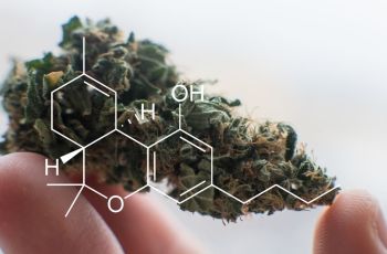 THC periodic elements